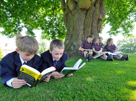 Территория вокруг школы Территория вокруг школы